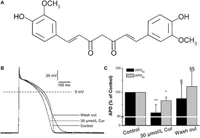 Curcumin, a Multi-Ion Channel Blocker That Preferentially Blocks Late Na+ Current and Prevents I/R-Induced Arrhythmias